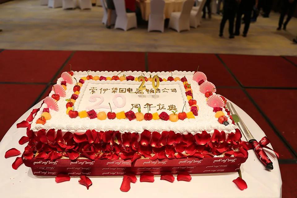 憶往昔崢嶸歲月 展未來催人奮進——熱烈慶祝索伊電器銷售公司成立20周年